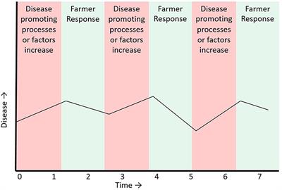 Complex System Approaches for Animal Health Surveillance